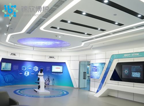 成功入庫國家項目，成都錦欣博悅加速技術創新與軟件開發布局