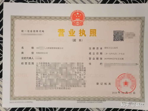 人力資源服務公司注冊 人力資源服務許可證申請 人力資源備案細節