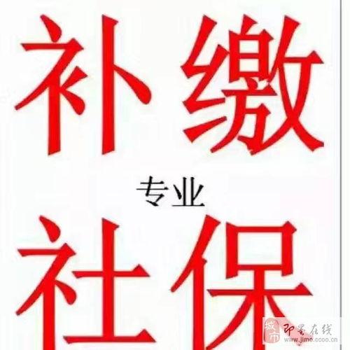 專業(yè)補繳本地社保與人力信息咨詢服務指南
